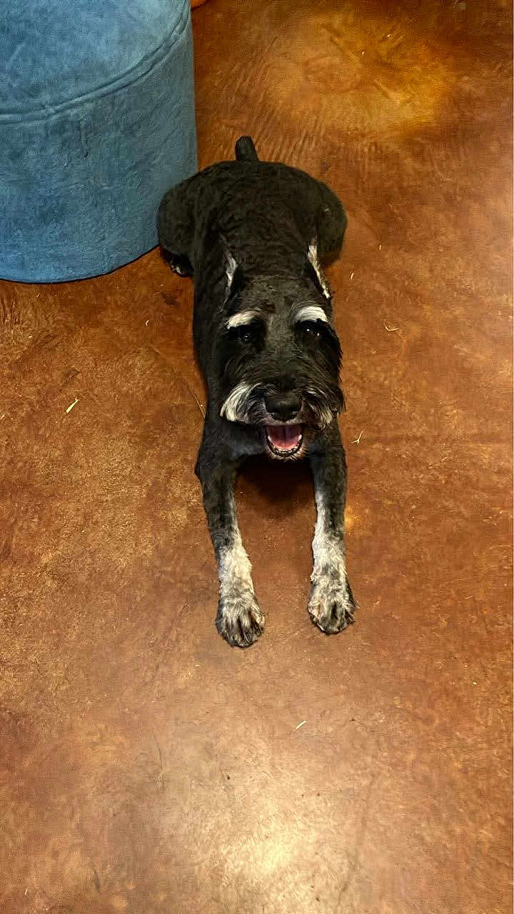 Baxter