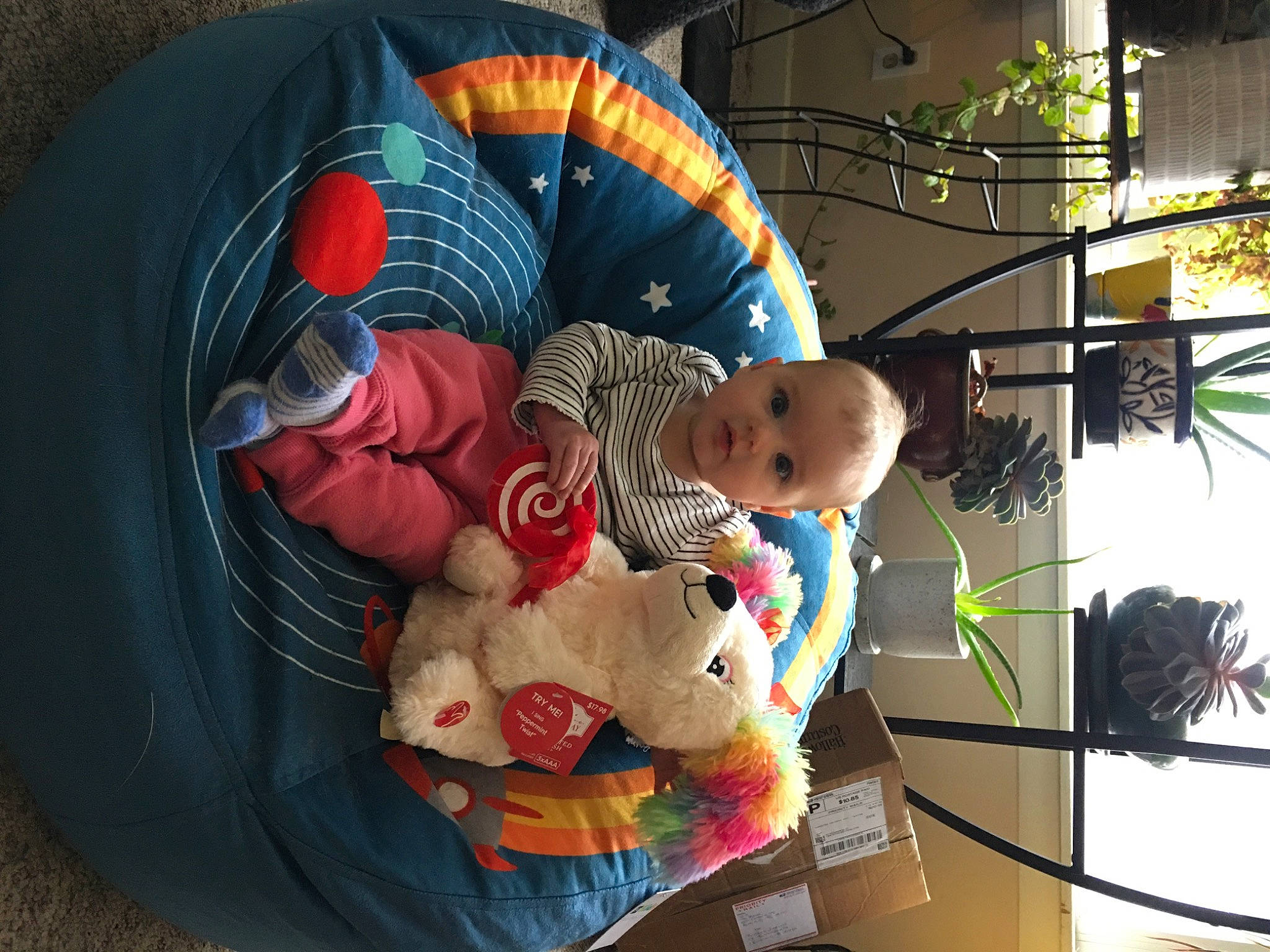Eloise is registered to the contest to win money with this photo: baby, baby_products, baby_toddler_clothing, baby_toys, child, circle, comfort, event, flowerpot, fun, houseplant, person, plant, plush, room, stuffed_toy, teddy_bear, toddler, toy, tree
