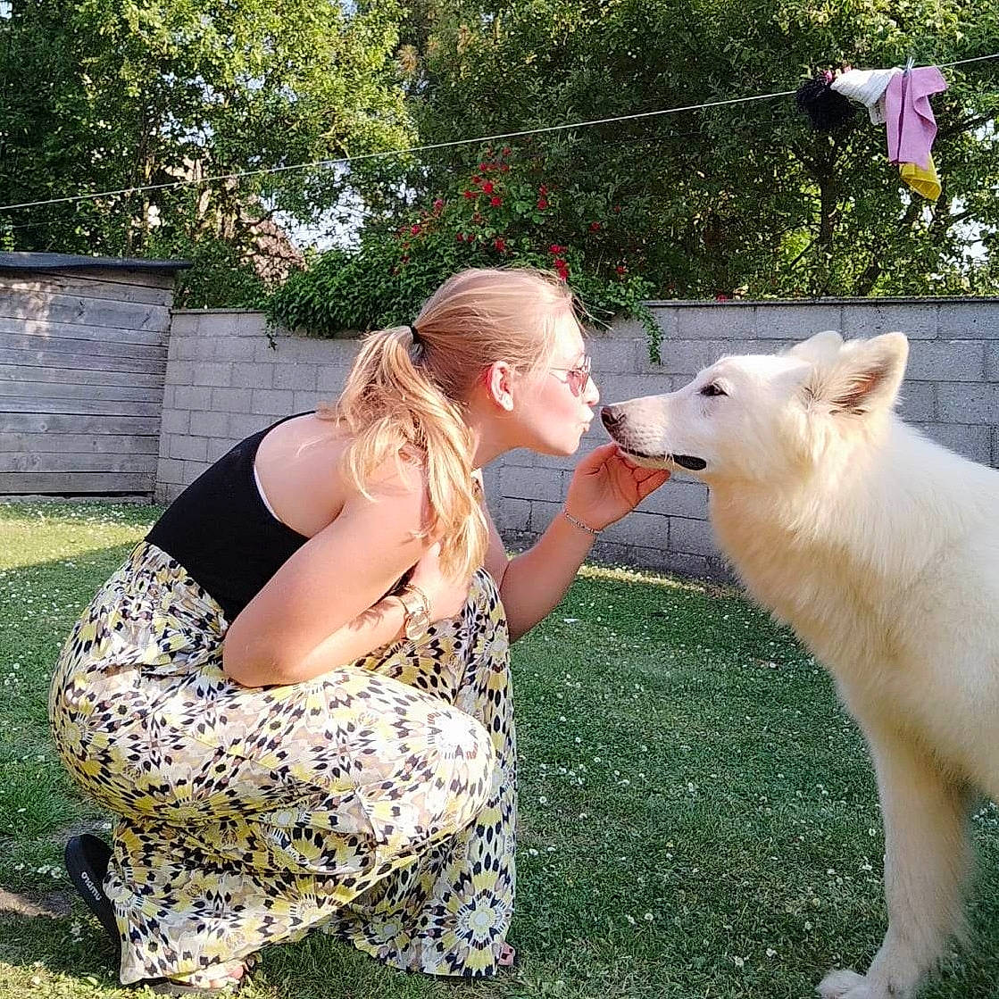 Seiko a rejoint le concours — aidez-le/la à gagner de superbes lots ! canidae, carnivore, companion_dog, dog, dog_breed, event, fawn, fun, gesture, grass, happy, kintamani, leisure, people_in_nature, plant, sitting, spitz, sporting_group, terrestrial_animal, tree