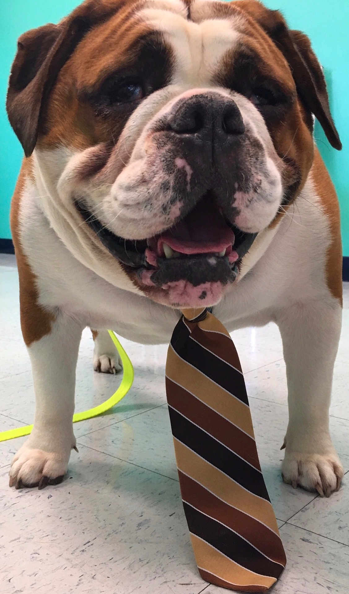 Franklin