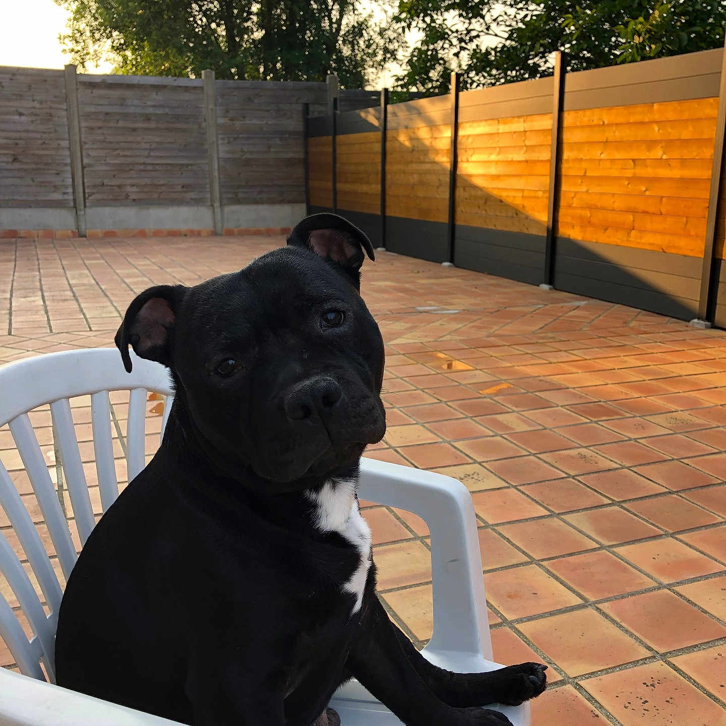 Paco