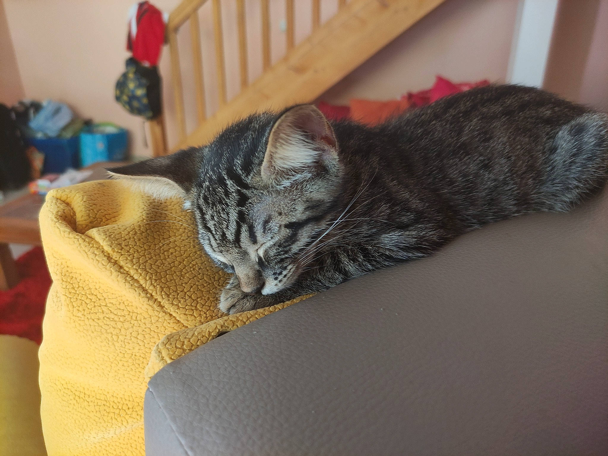 Tigrou