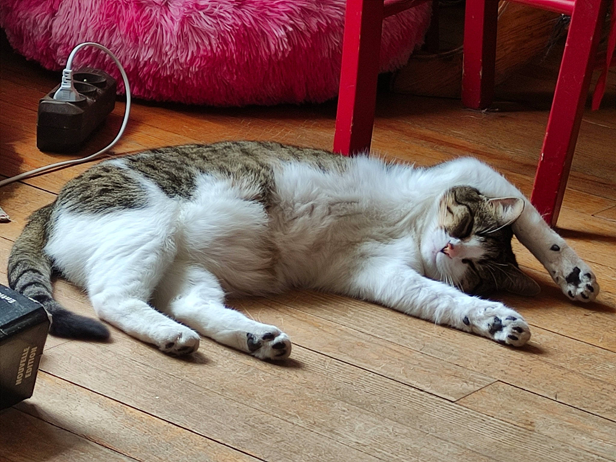 Tina