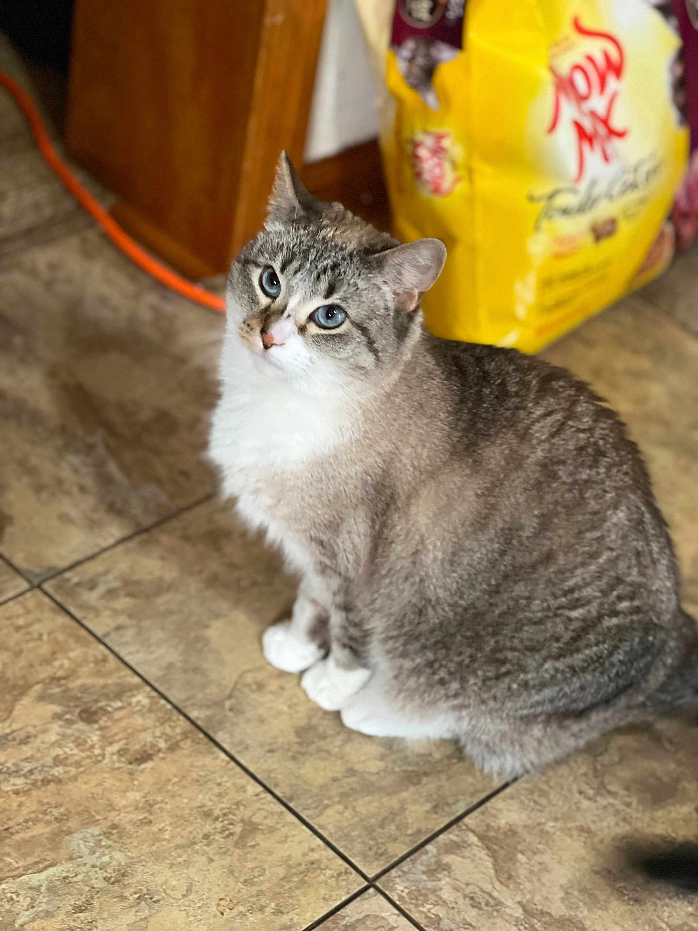 Kiki