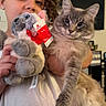 animal, cat, cozy, curly_hair, cute, domestic, earrings, face, feline, gray_cat, holding, indoor, living_room, person, pet, playful, plush_toy, portrait, stuffed_animal, white_shirt