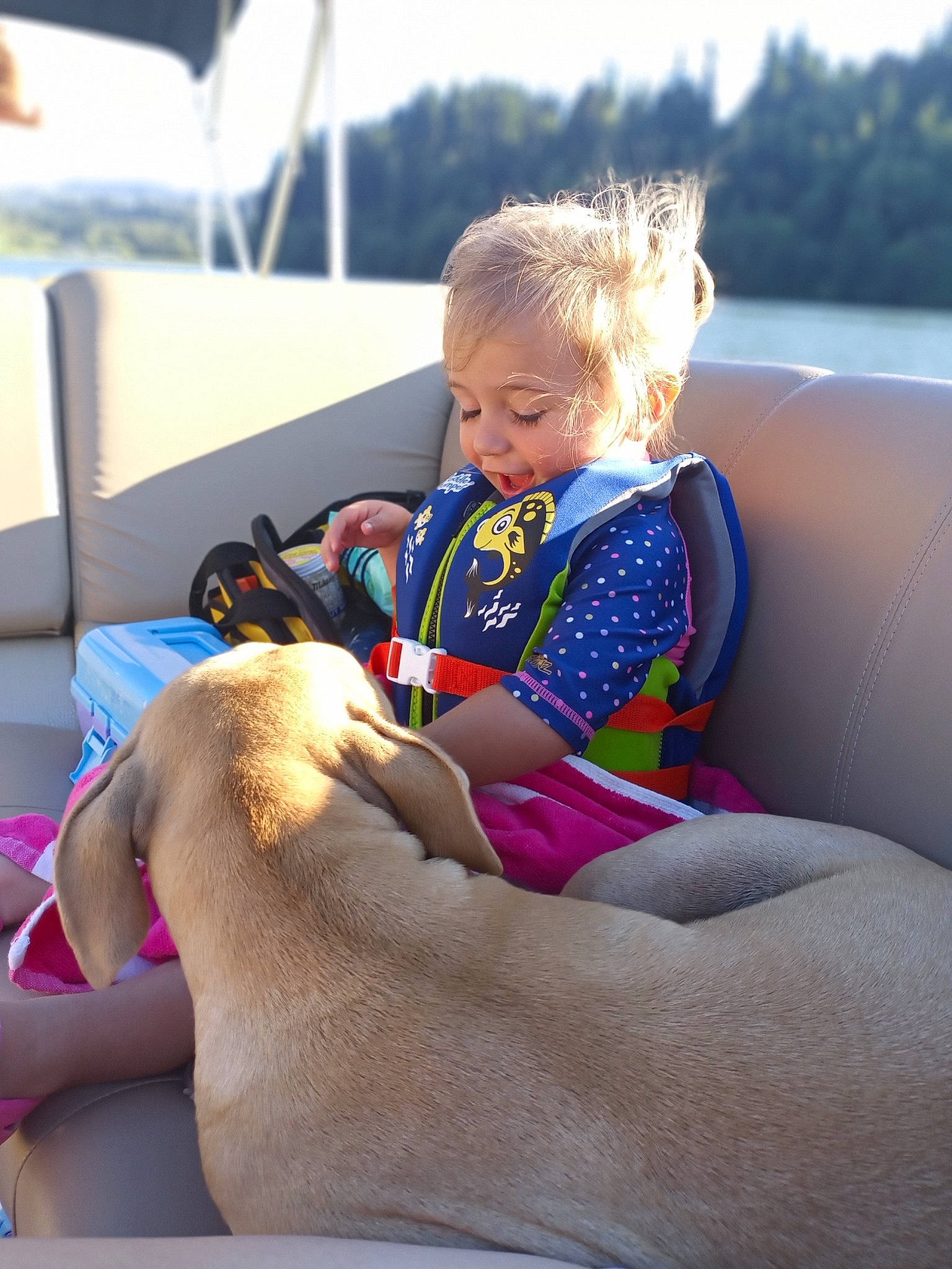 Braelynn joined the competition — help win amazing prizes! barefoot, carnivore, child, comfort, companion_dog, dog, foot, fun, happy, human_leg, knee, lap, leisure, person, personal_protective_equipment, recreation, sitting, sky, thigh, toddler