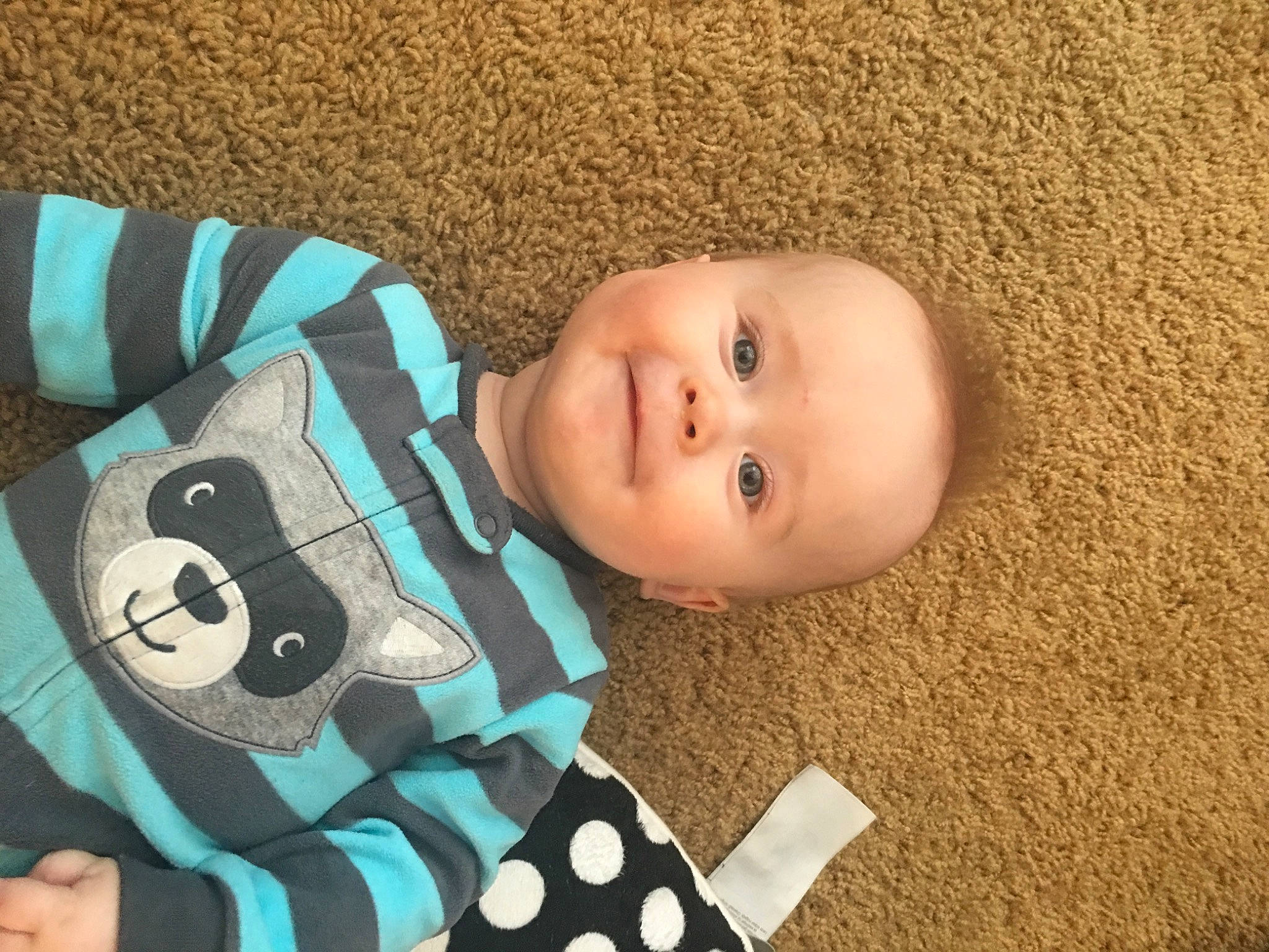 Xander is registered to the contest to win money with this photo: baby, baby_products, baby_toddler_clothing, baby_toys, cheek, child, comfort, eye, face, flooring, grass, happy, head, joy, linens, pattern, person, sleeve, smile, toddler