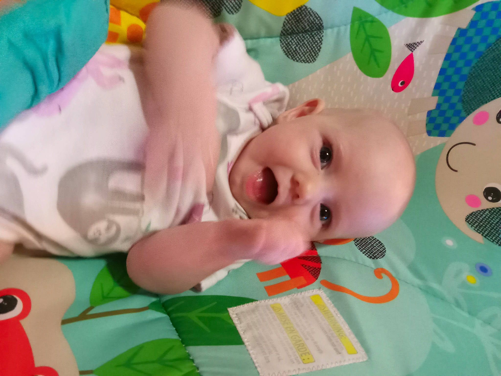 Sadie joined the competition — help win amazing prizes! art, baby, baby_products, baby_toddler_clothing, baby_toys, cheek, child, eyelash, fun, grass, green, happy, leisure, nose, pattern, person, play, room, skin, toddler