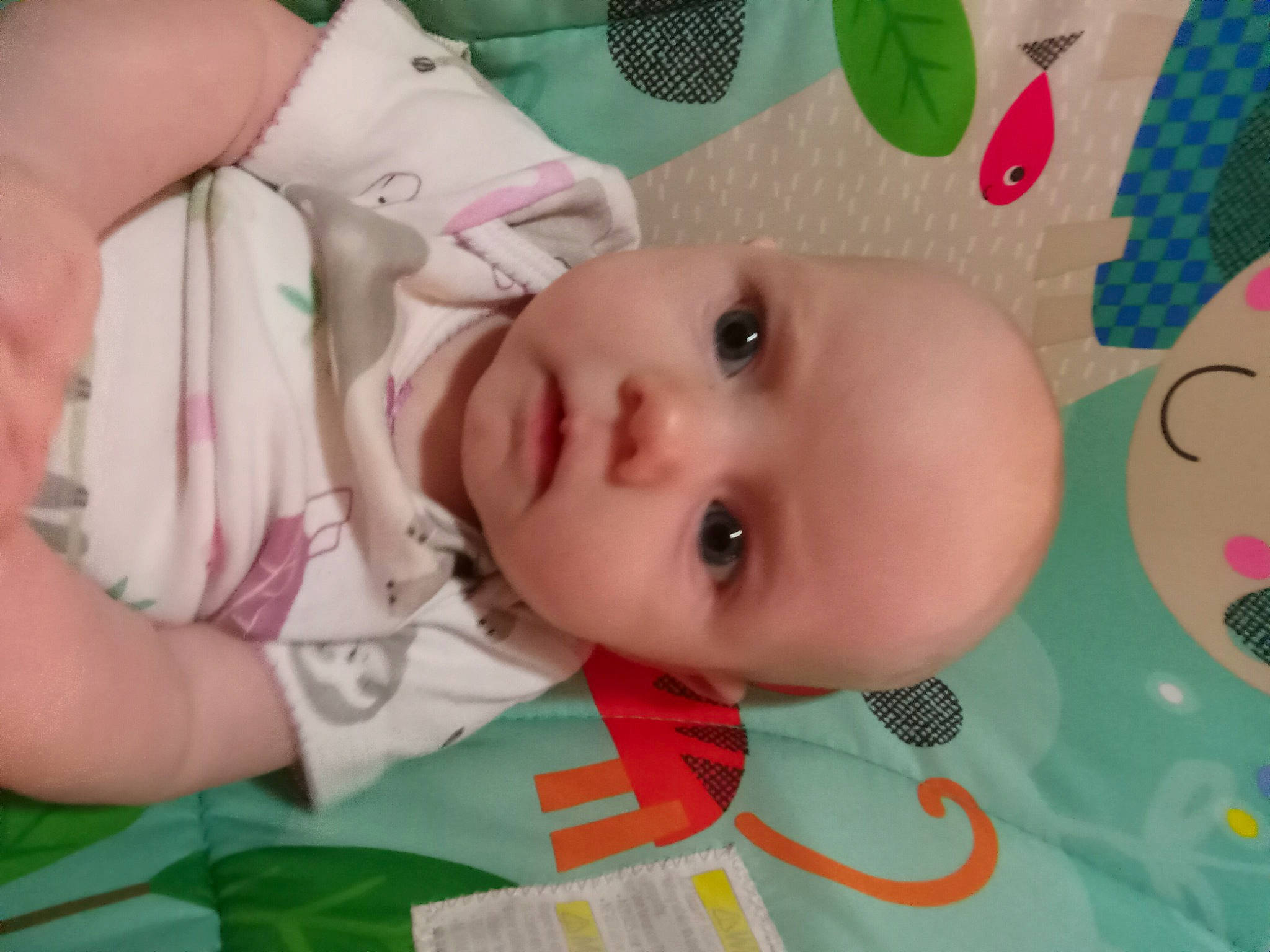 Sadie is registered to the contest to win money with this photo: baby, baby_products, baby_toddler_clothing, baby_toys, cheek, child, eyelash, grass, green, happy, iris, lip, nose, pattern, person, pink, room, skin, stuffed_toy, toddler