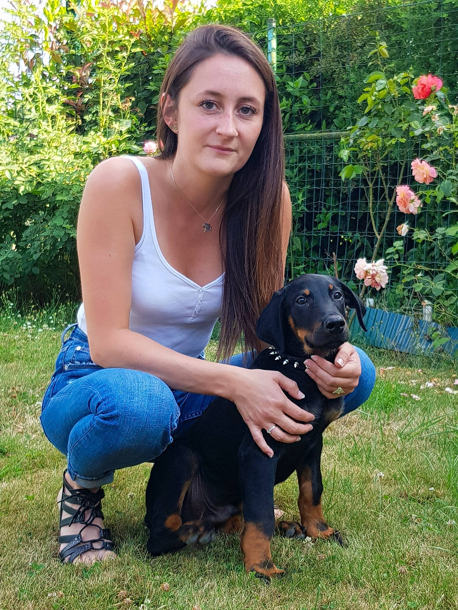 Oslo a rejoint le concours — aidez-le/la à gagner de superbes lots ! carnivoran, dog, dog_breed, dog_like_mammal, girl, grass, mammal, person, puppy, rottweiler, vertebrate