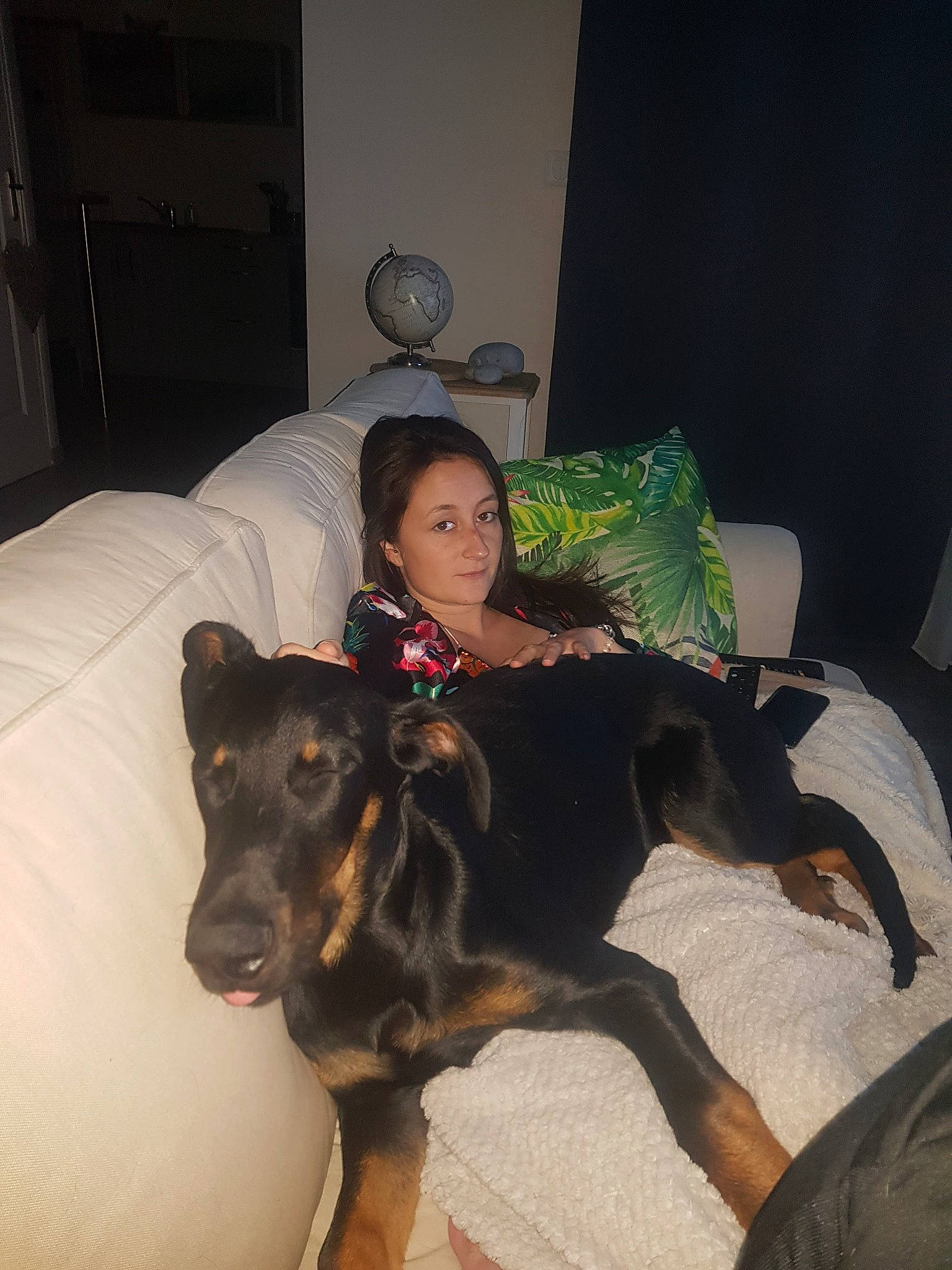 Oslo a rejoint le concours — aidez-le/la à gagner de superbes lots ! carnivoran, dobermann, dog, dog_breed, dog_breed_group, dog_like_mammal, fun, guard_dog, huntaway, person, puppy, rottweiler, snout