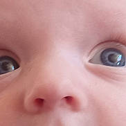 Maylo participe au concours pour gagner de l'argent avec cette photo : baby, face, eyes, skin, nose, closeup, infant, child, portrait, cute, human, expression, eyelashes, cheeks, young, newborn, curious, innocence, soft, macro