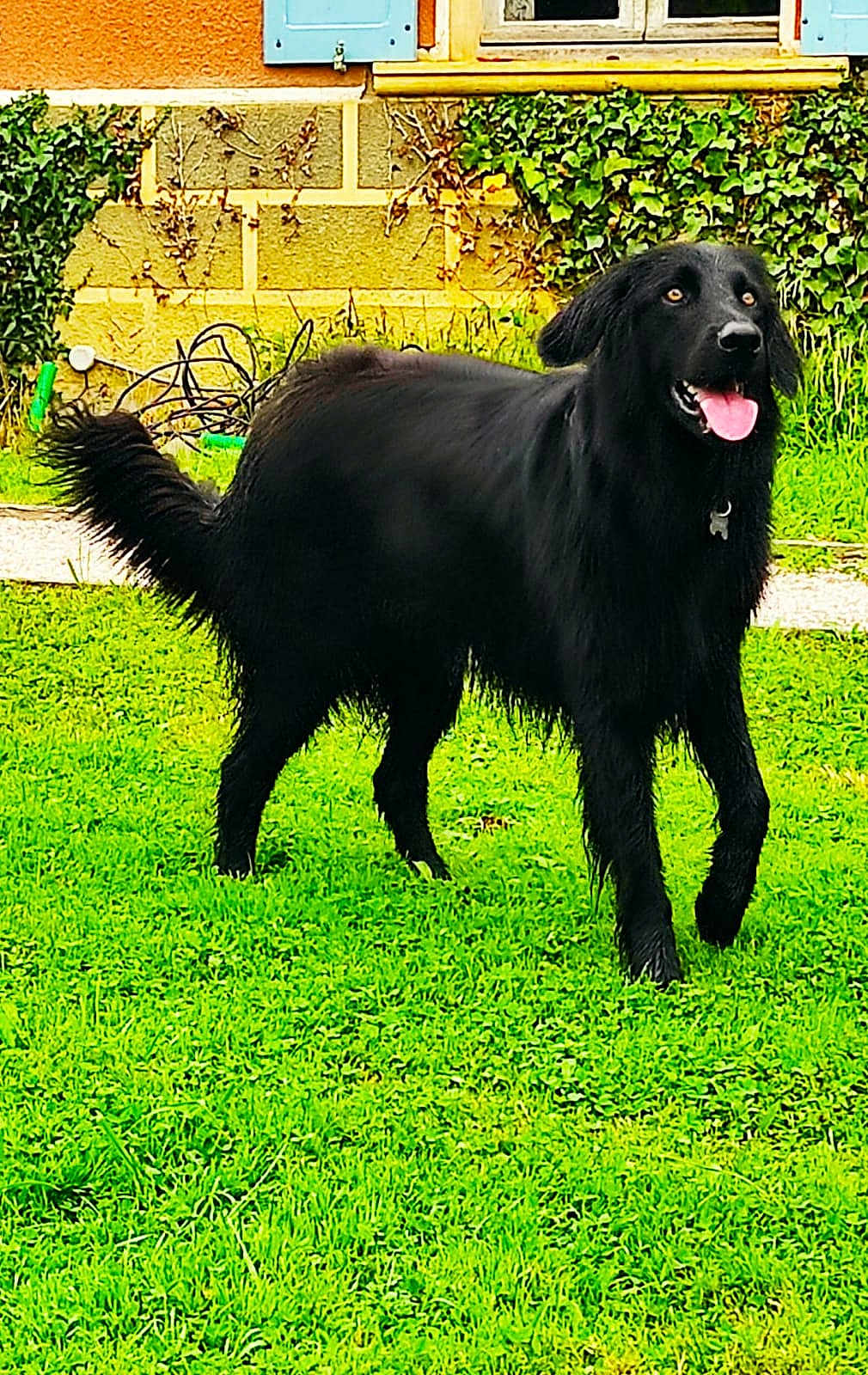Oulka