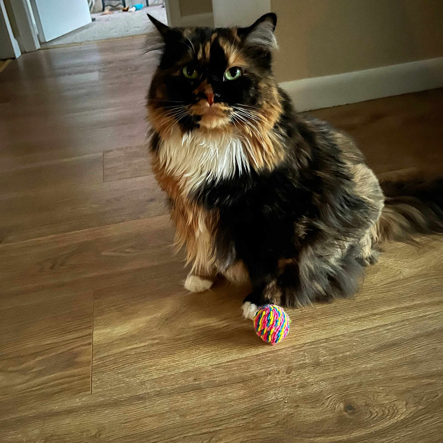 Rosie