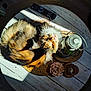 Rebelle participe au concours pour gagner de l'argent avec cette photo : cat, animal, pet, fur, table, wood, sunlight, remote_control, lantern, decor, flower, cozy, indoor, relaxed, sleepy, curled_up, whiskers, domestic, warm_light, round_table
