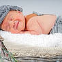 Elio participe au concours pour gagner de l'argent avec cette photo : newborn, baby, sleeping, basket, blanket, hat, clothing, fluffy, face, peaceful, resting, cute, infant, portrait, cozy, soft, closeup, headwear, wood, fabric