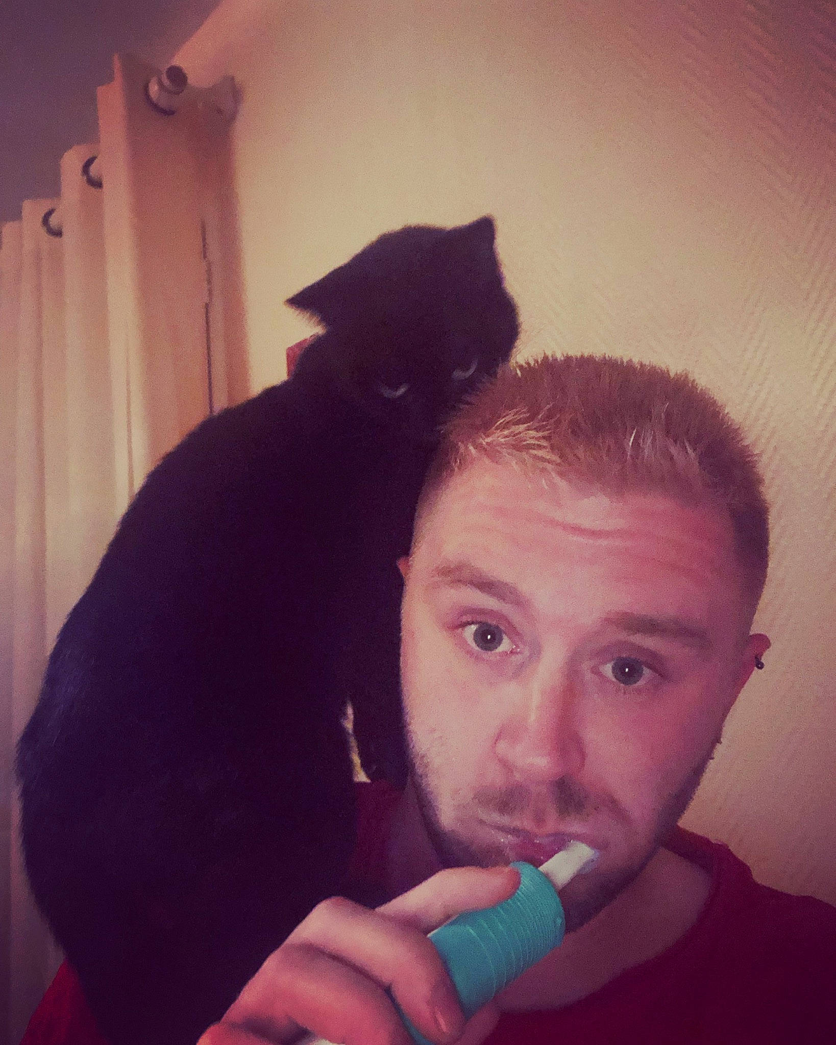 Minette participe au concours pour gagner de l'argent avec cette photo : beard, cat, chin, ear, eye, eyebrow, eyelash, eyewear, face, forehead, gesture, hair, jaw, lip, microphone, mouth, neck, nose, organ, vision_care