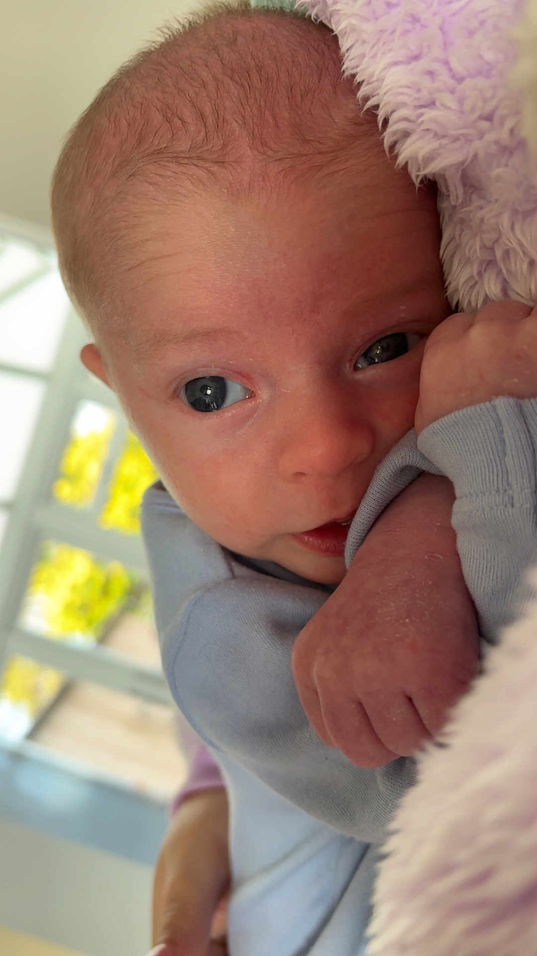 Jai is registered to the contest to win money with this photo: baby, blanket, blue_clothing, child, close_up, cozy, curious, cute, face, hand, indoors, infant, natural_light, newborn, portrait, skin, small_hand, soft, window, wrapping