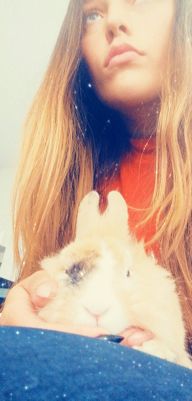 Benny participe au concours pour gagner de l'argent avec cette photo : beauty, blond, cheek, ear, eye, fur, gerbil, guinea_pig, hair, hamster, lip, long_hair, mouth, nose, photography, rodent, selfie, skin, smile, snout