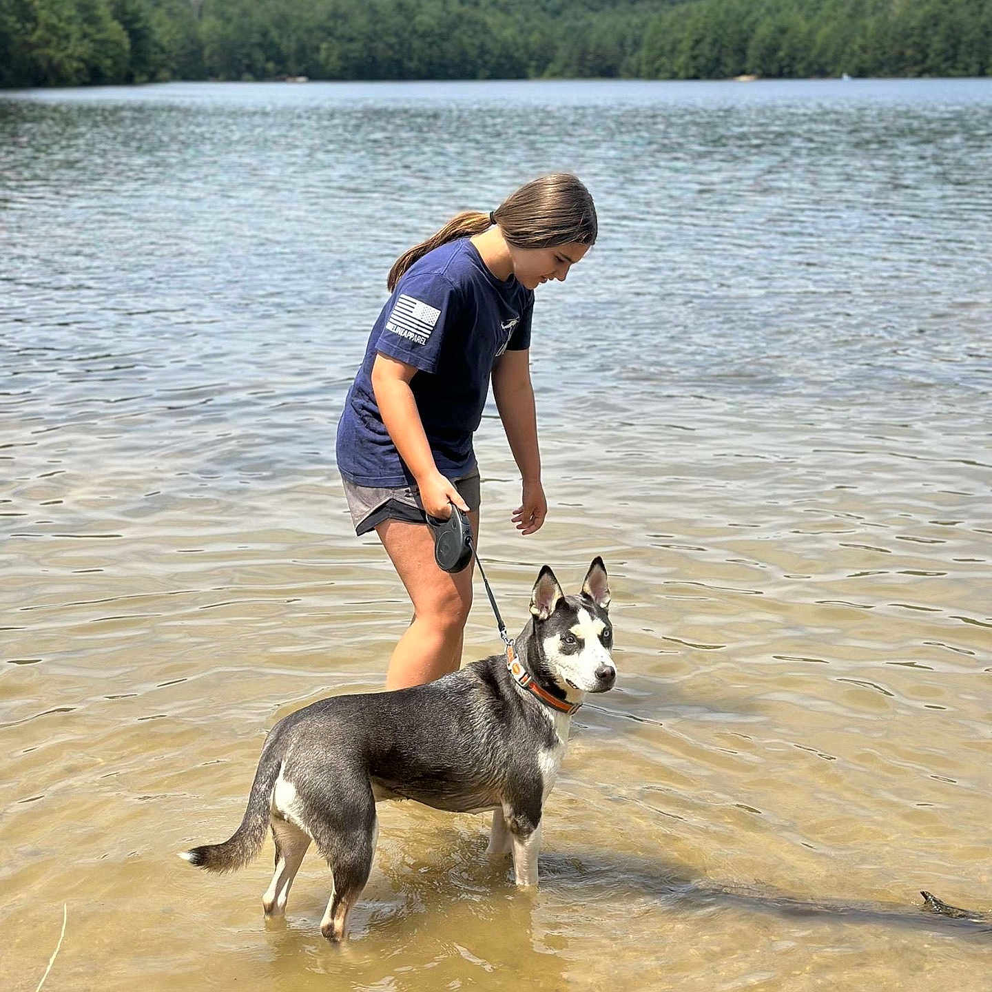 Kova joined the competition — help win amazing prizes! animal, blue_eyes, casual_clothing, collar, dog, forest, girl, lake, leash, nature, outdoor, pet, recreation, reflection, shallow_water, standing, summer, sunny, trees, water
