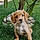 Sadie