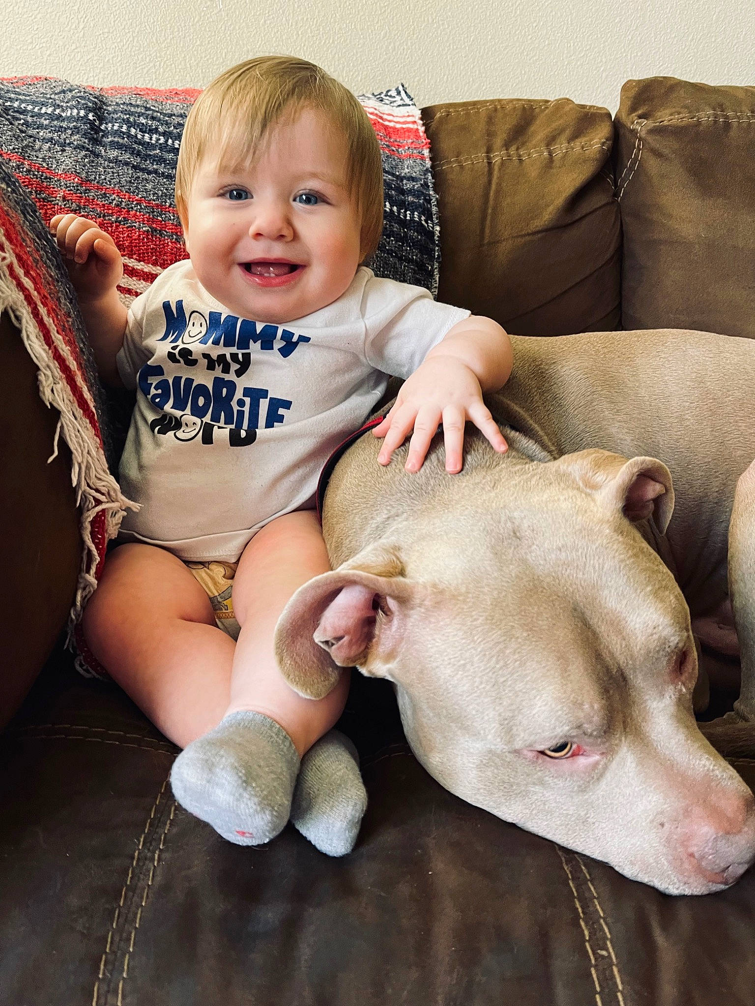Waylon is registered to the contest to win money with this photo: baby_toddler_clothing, carnivore, comfort, companion_dog, couch, dog, dog_breed, eye, facial_expression, happy, head, joy, knee, lap, leg, person, skin, smile, snout, thigh