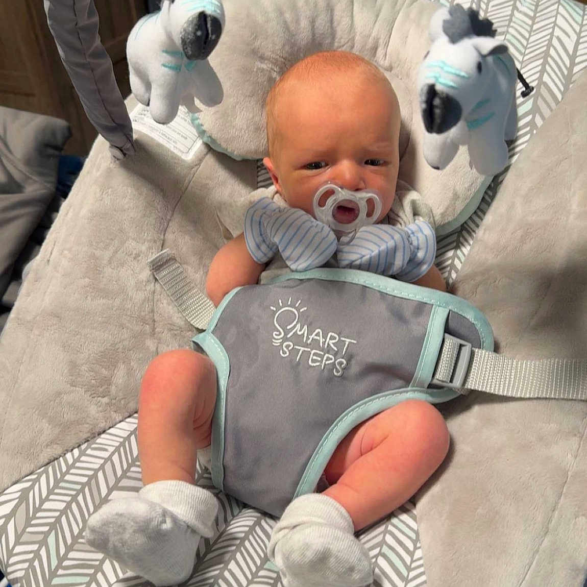 Wesley joined the competition — help win amazing prizes! baby, baby_accessory, baby_bouncer, baby_buckle, baby_clothing, baby_gadget, baby_rocker, baby_sock, child, comfort, cute, indoor, infant, infant_seat, newborn, pacifier, patterned_cushion, plush_toys, soft_fabric, zebra_toys