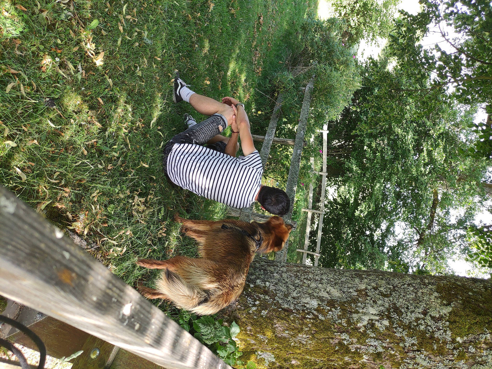 Ryuk participe au concours pour gagner de l'argent avec cette photo : adventure, fun, grass, jungle, leisure, people_in_nature, plant, recreation, tree, trunk, wood