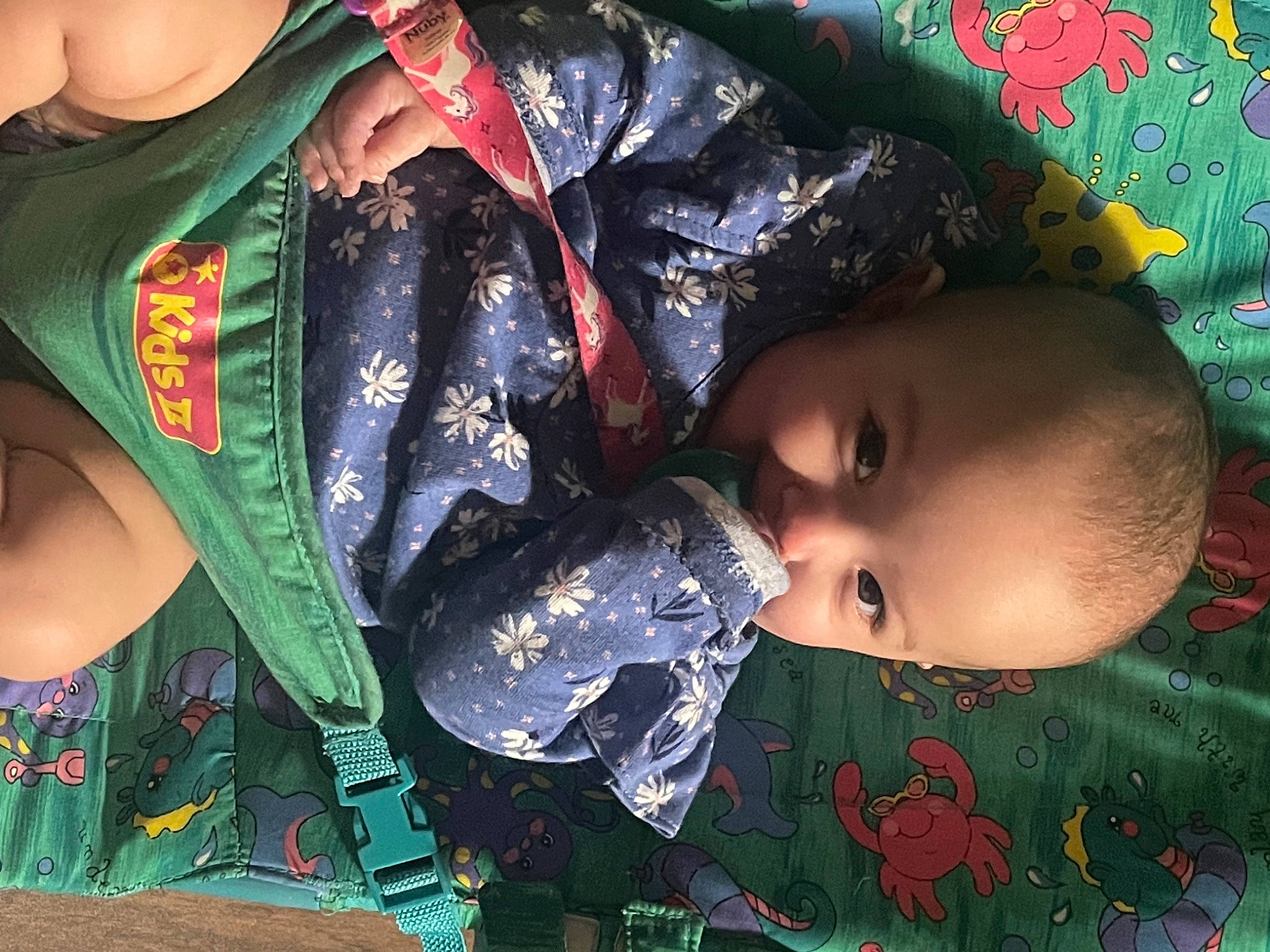 Jayleen is registered to the contest to win money with this photo: baby, baby_toddler_clothing, black_hair, cheek, child, cool, green, hairstyle, happy, headgear, human_body, mouth, pattern, person, photograph, red, skin, snapshot, textile, toddler