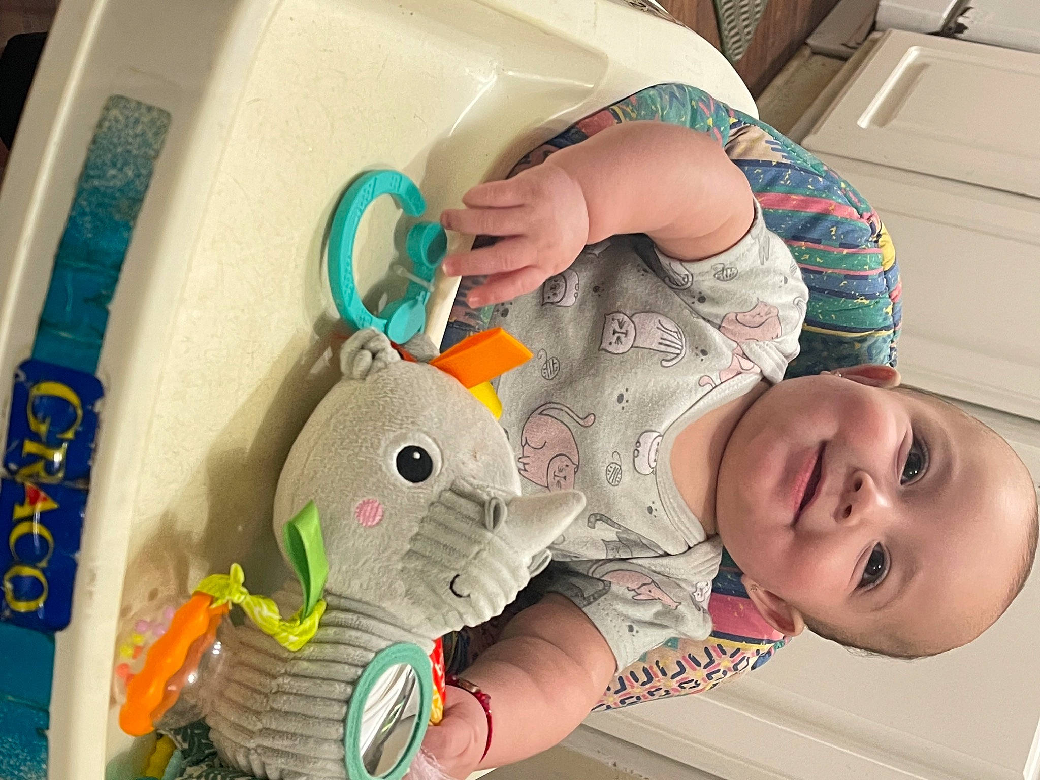 Giuliana is registered to the contest to win money with this photo: art, baby, baby_products, baby_toddler_clothing, baby_toys, cabinetry, child, fun, happy, joy, mammal, person, play, plush, product, room, skin, smile, stuffed_toy, textile