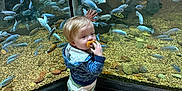 Hunter joined the competition — help win amazing prizes! toddler, child, pacifier, aquarium, fish, reflection, glass, water, rocks, blue, curious, shoes, hoodie, socks, floor, indoor, nature, animal, small_person, standing