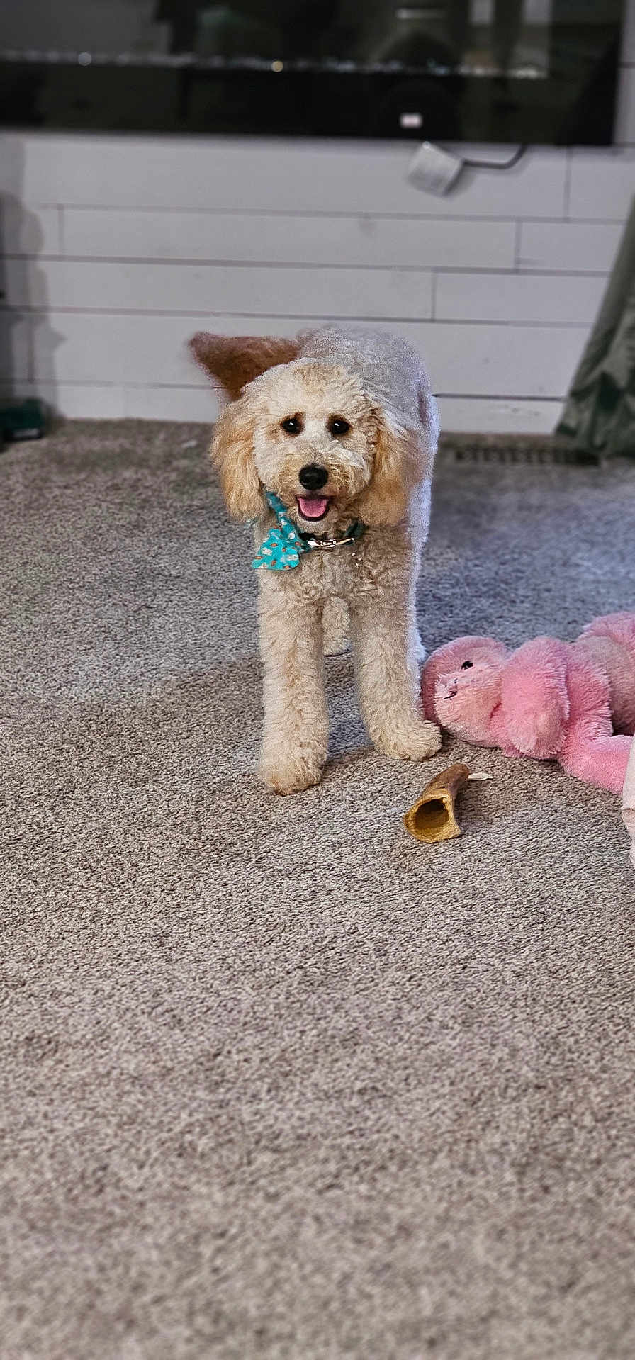 Lilly