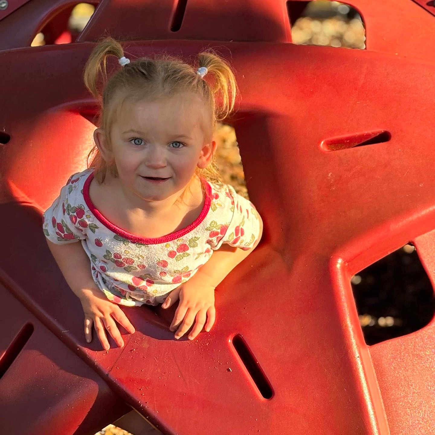 Pearlina joined the competition — help win amazing prizes! car, child, clothing, face, female, girl, grass, head, nature, outdoorplayarea, outdoors, person, photography, plant, playarea, portrait, summer, t_shirt, transportation, vehicle