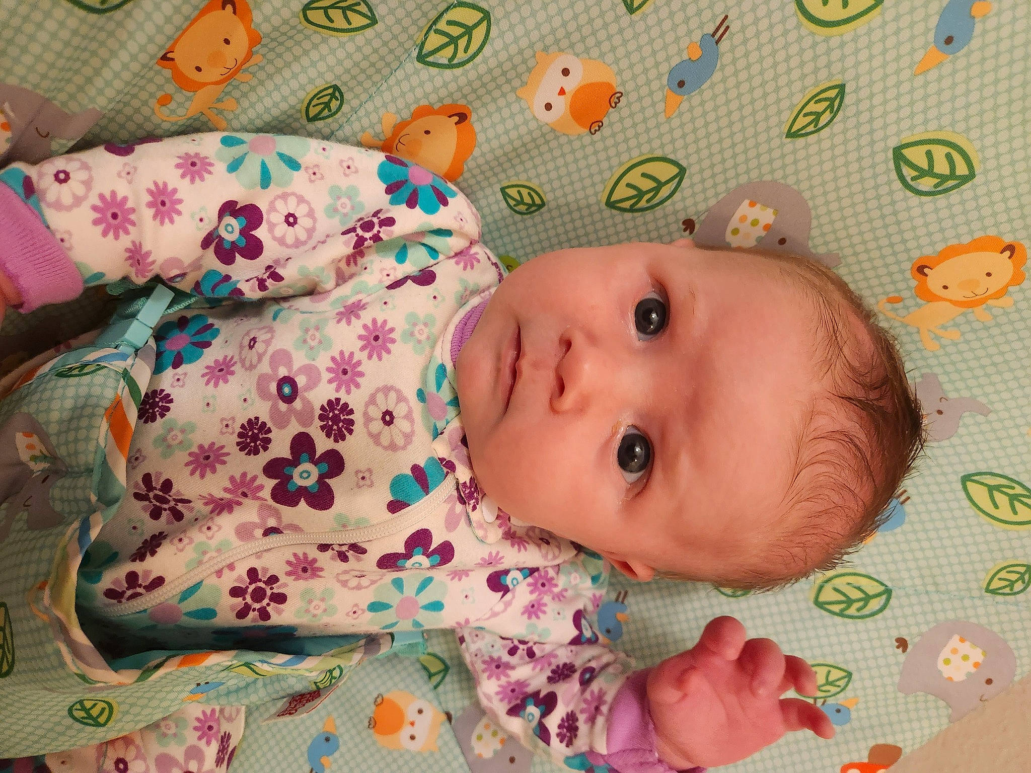 Eliza is registered to the contest to win money with this photo: baby, baby_products, baby_safety, baby_toddler_clothing, cheek, child, chin, comfort, eye, face, facial_expression, head, iris, linens, nose, pattern, person, skin, sleeve, textile