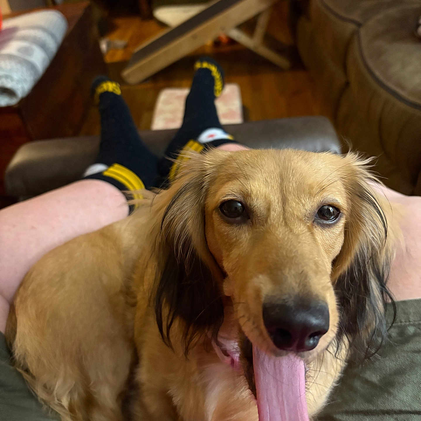 Cinnamon