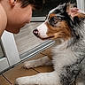 child, dog, indoor, wooden_floor, glass_door, face, fur, pet, curious, closeup, interaction, boy, animal, home, cute, friendship, portrait, looking, bond, companionship