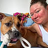 Luna joined the competition — help win amazing prizes! dog, person, portrait, indoor, couch, rope_toy, playing, chewing, happy, face, brown_dog, white_markings, pet, companion, casual, sitting, closeup, home, blanket, smiling