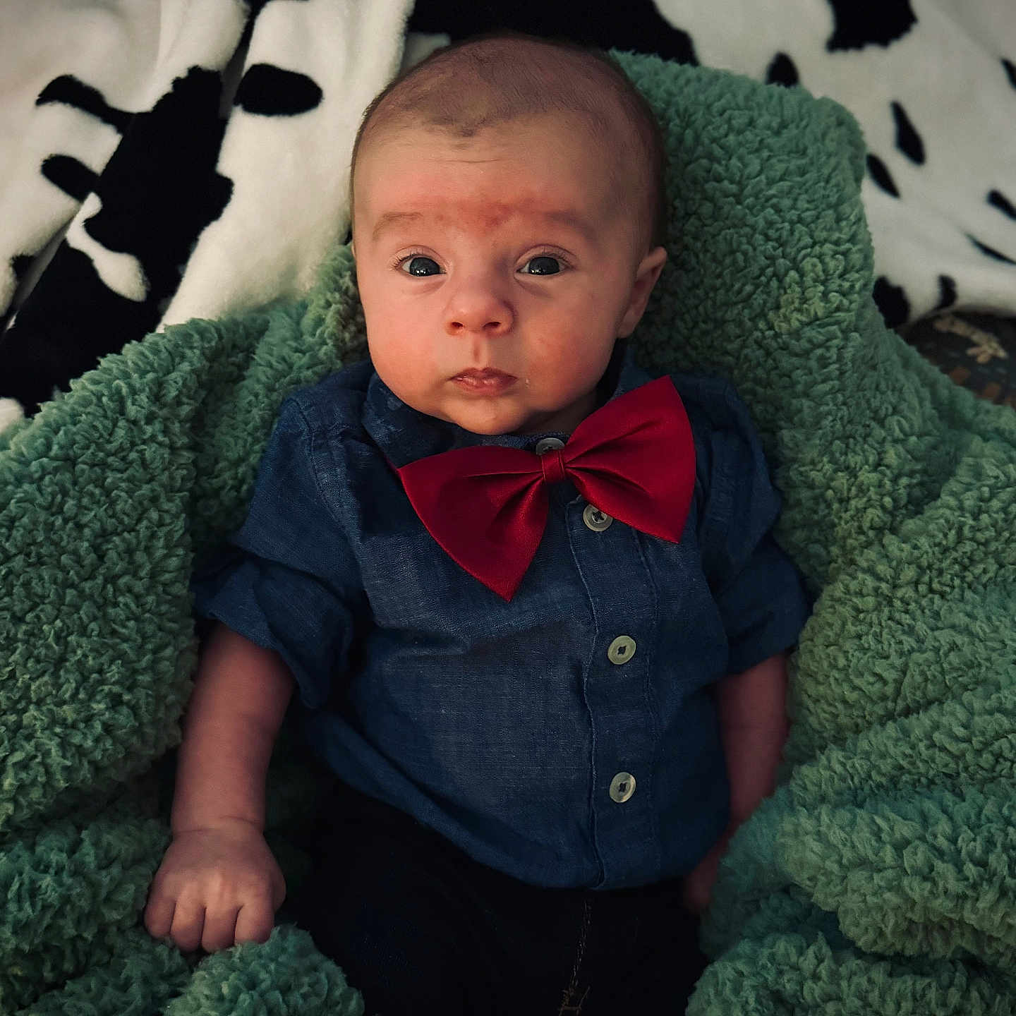 Kaycen joined the competition — help win amazing prizes! accessories, baby, blanket, bodypart, clothing, couch, face, finger, formalwear, furniture, hand, hat, head, homedecor, newborn, pants, person, photography, portrait, tie
