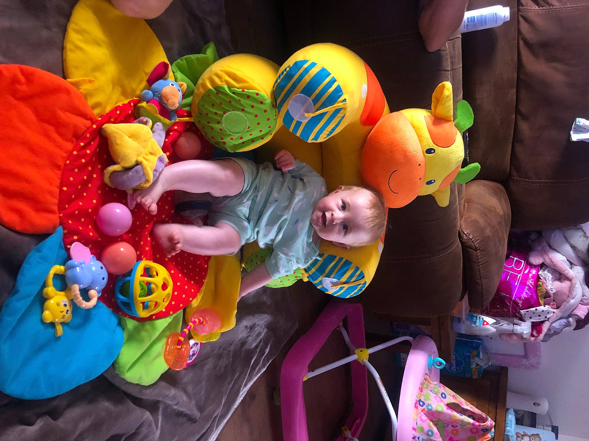 Bonnie is registered to the contest to win money with this photo: animation, baby_toys, balloon, child, event, fun, happy, leisure, magenta, party_supply, person, play, plush, public_event, recreation, room, stuffed_toy, textile, toy, tree