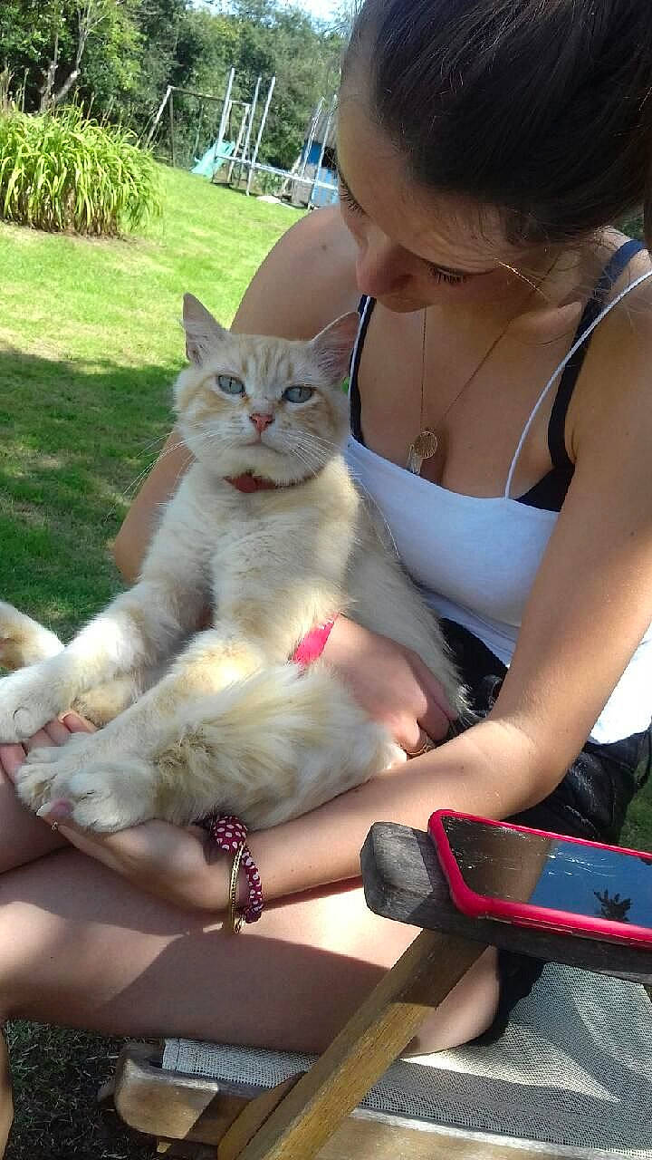 Nounoune a rejoint le concours — aidez-le/la à gagner de superbes lots ! carnivore, cat, companion_dog, domestic_short_haired_cat, fawn, felidae, foot, gesture, grass, human_leg, knee, lap, leisure, nail, paw, recreation, small_to_medium_sized_cats, tail, thigh, whiskers