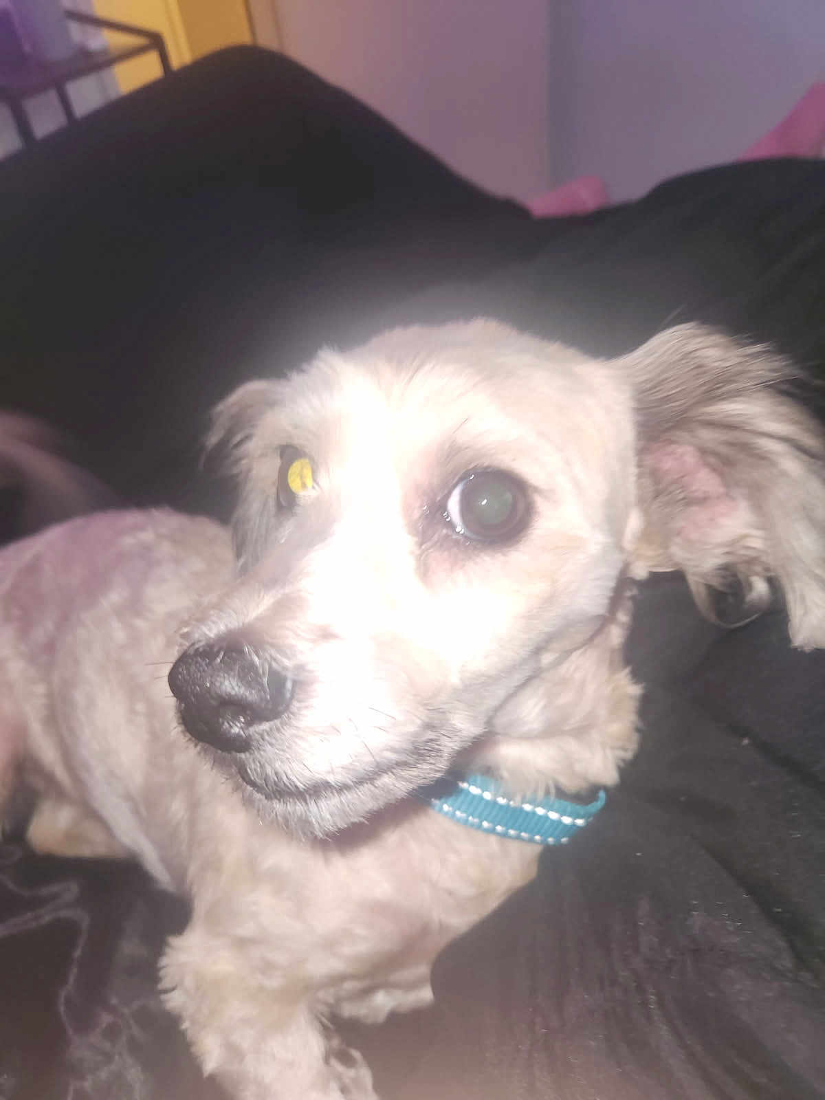 Max