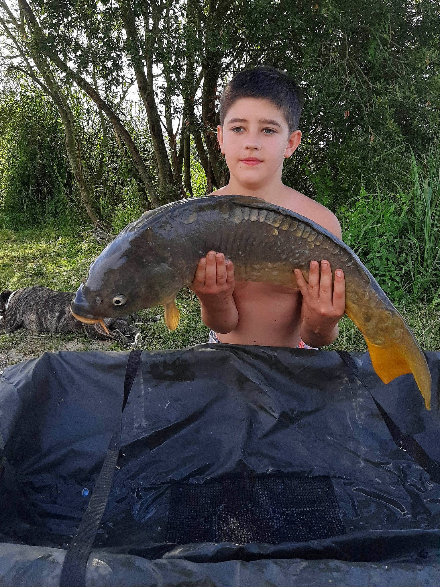 Jimily a rejoint le concours — aidez-le/la à gagner de superbes lots ! bony_fish, carp, fish, galapagos_tortoise, person