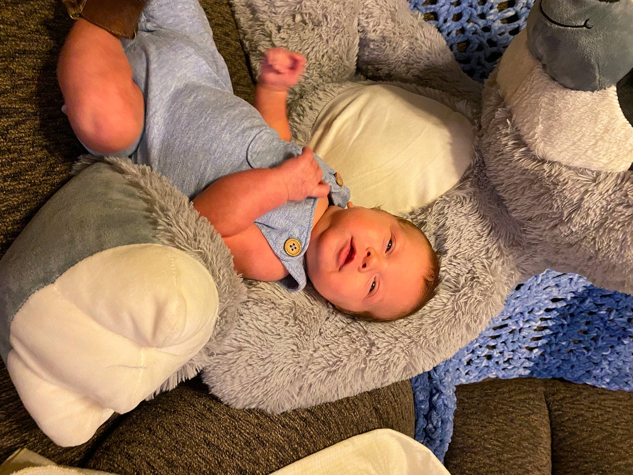 Beau joined the competition — help win amazing prizes! arm, baby, child, comfort, couch, finger, fun, grass, head, human_body, interaction, joint, lap, leg, mouth, person, textile, thigh, toddler, trunk