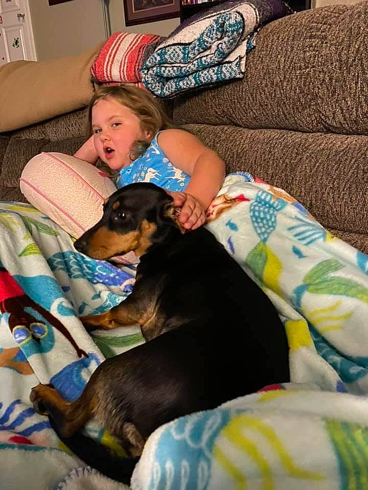 Elena is registered to the contest to win money with this photo: blue, canidae, carnivore, child, comfort, companion_dog, couch, dog, dog_breed, fun, happy, lap, leisure, living_room, person, picture_frame, pillow, sharing, sitting, sporting_group