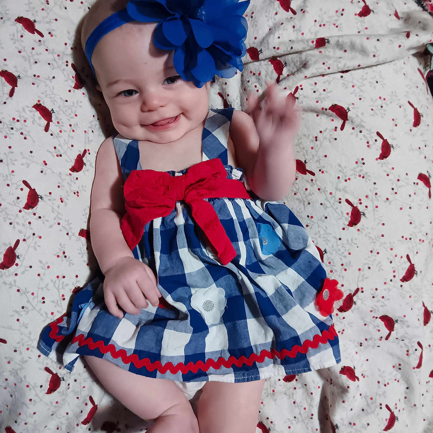 Haven joined the competition — help win amazing prizes! accessories, baby, clothing, costume, dress, face, flower, formalwear, furniture, glove, happy, hat, head, person, photography, plant, portrait, quilt, smile, toy