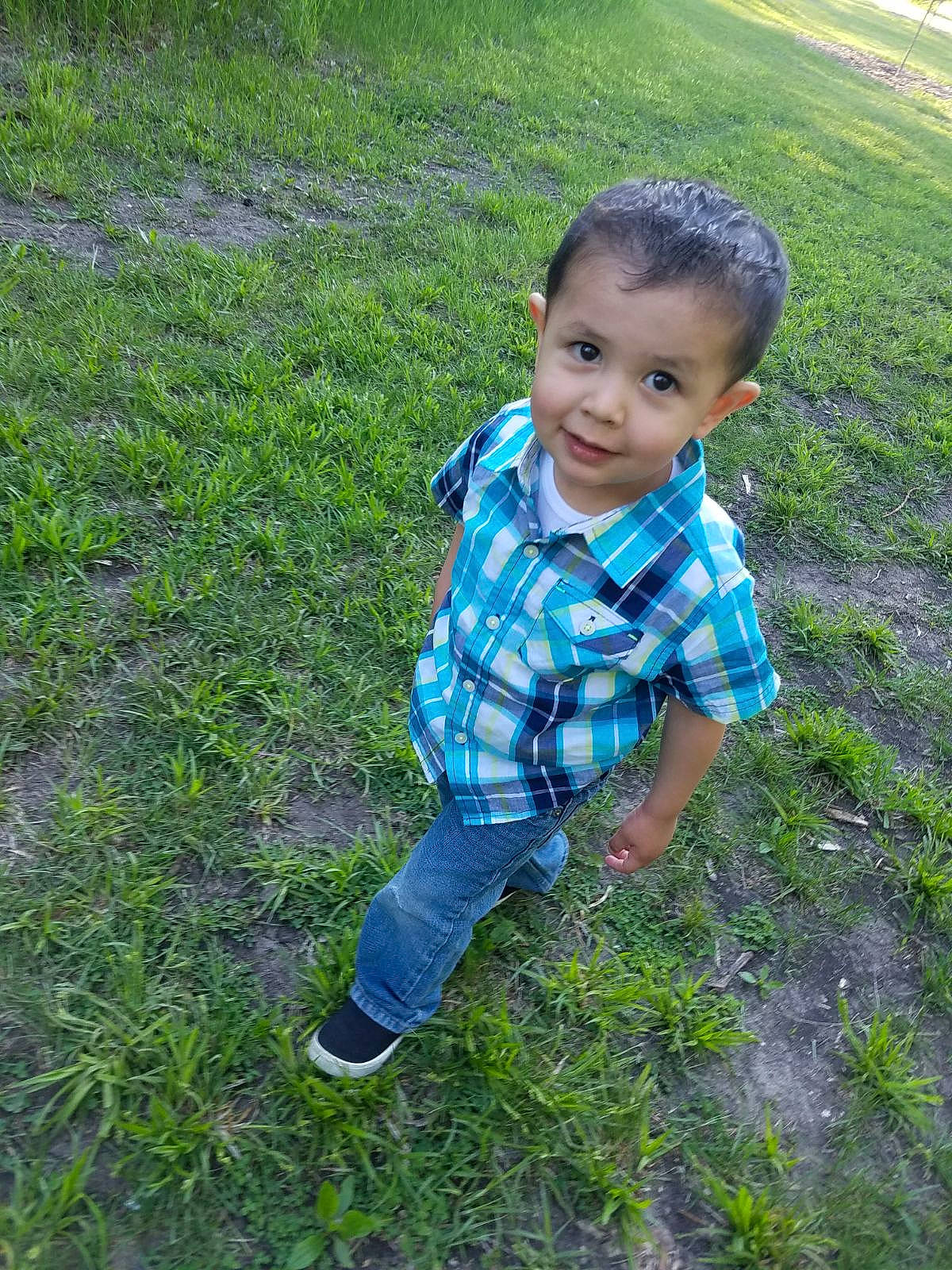 Marcelo is registered to the contest to win money with this photo: child, grass, grass_family, grassland, green, happy, lawn, leaf, male, meadow, person, plant, play, smile, summer, toddler, vacation