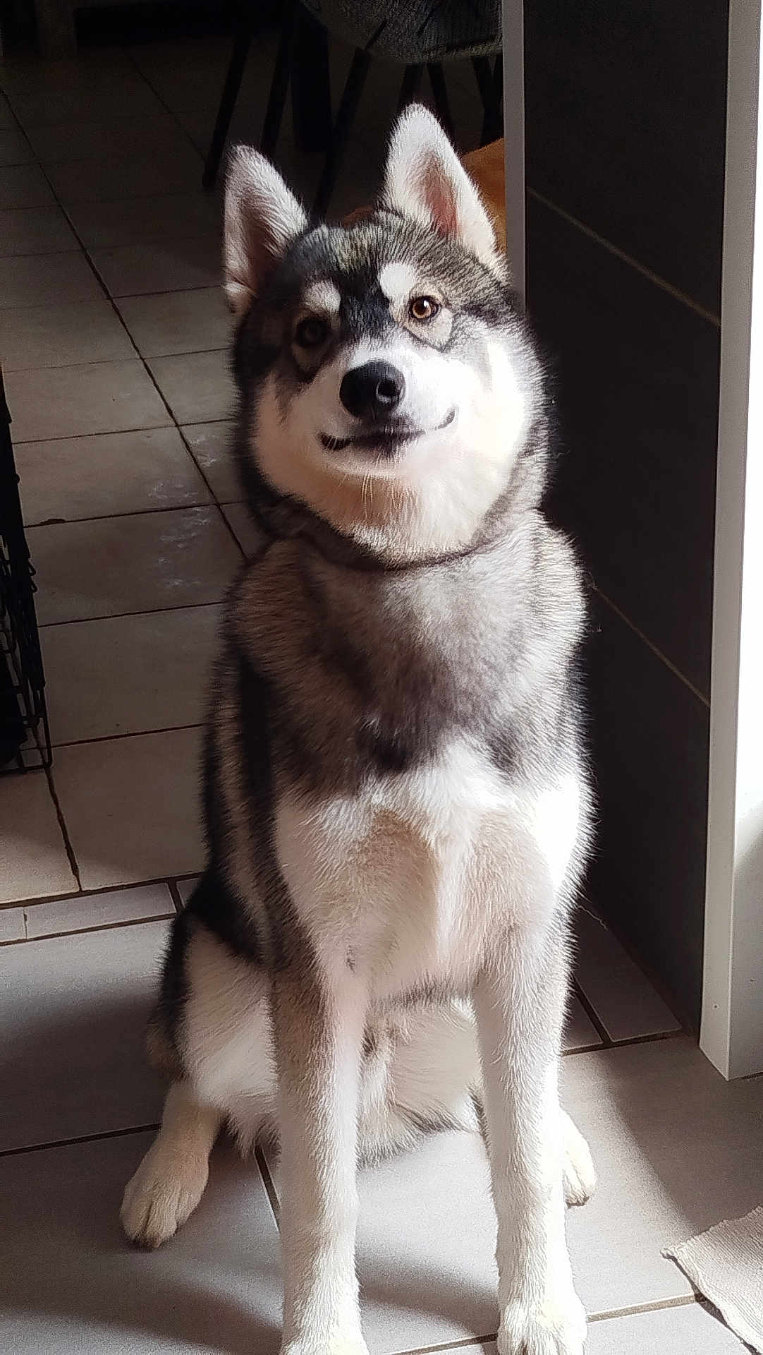 Myo