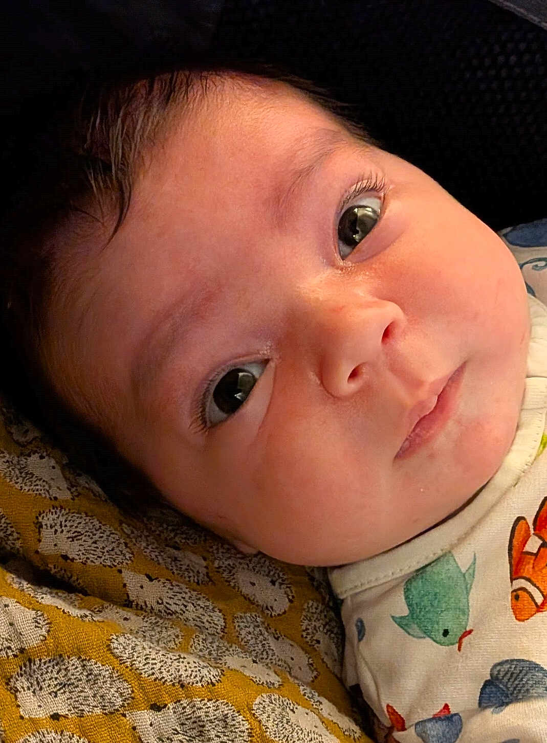 évelyne joined the competition — help win amazing prizes! baby, close_up, face, eyes, infant, child, patterned_blanket, yellow, clothing, fish_print, cute, portrait, skin, expression, lying_down, young_child, indoors, soft_light, head, curious