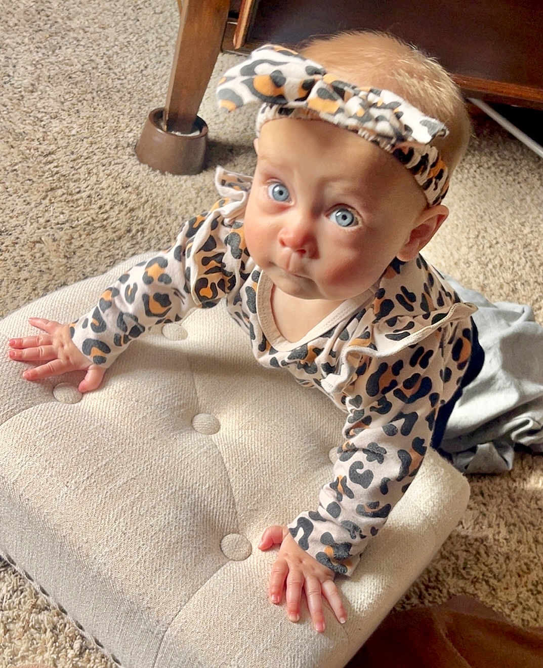 Eloise is registered to the contest to win money with this photo: baby, infant, child, crawling, leopard_print, headband, pajamas, cushion, carpet, wooden_furniture, indoor, curious, wide_eyes, cute, person, portrait, hands, face, expression, soft_lighting