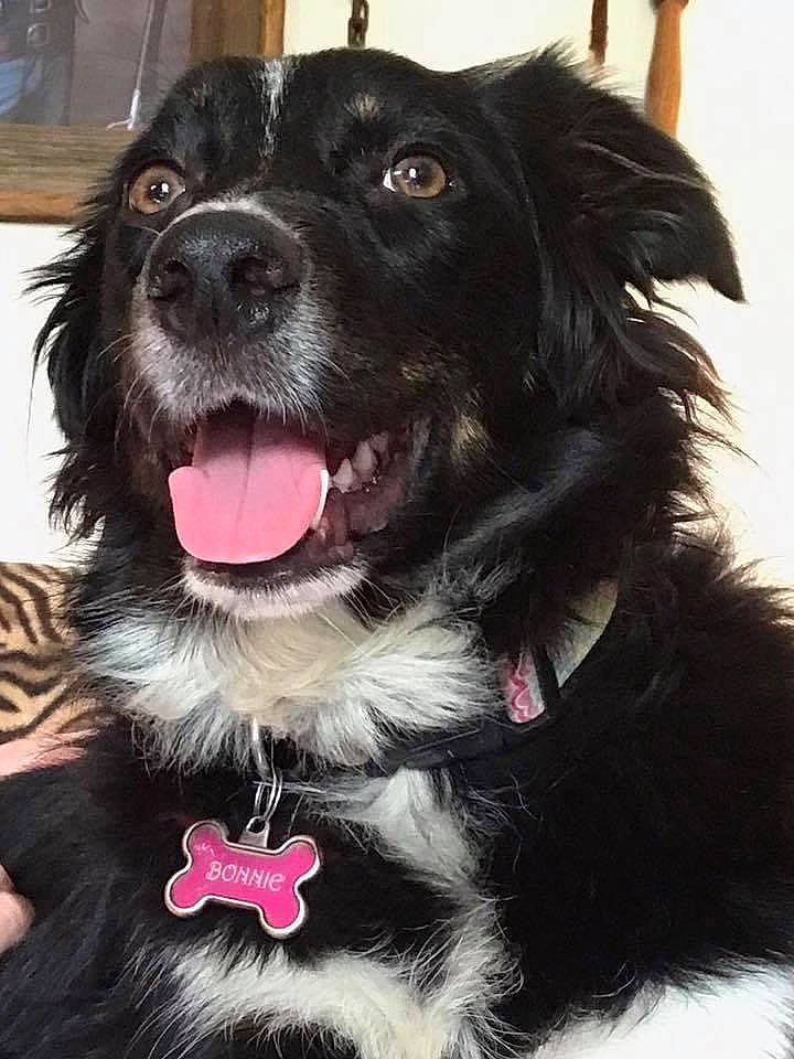 Bonnie